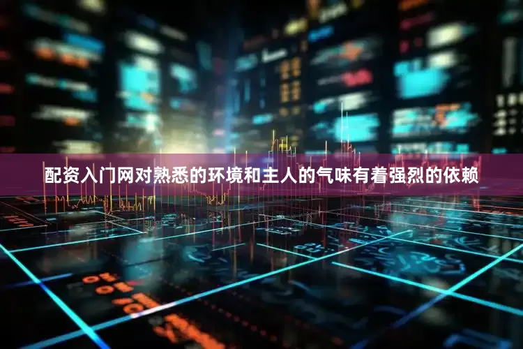 配资入门网对熟悉的环境和主人的气味有着强烈的依赖